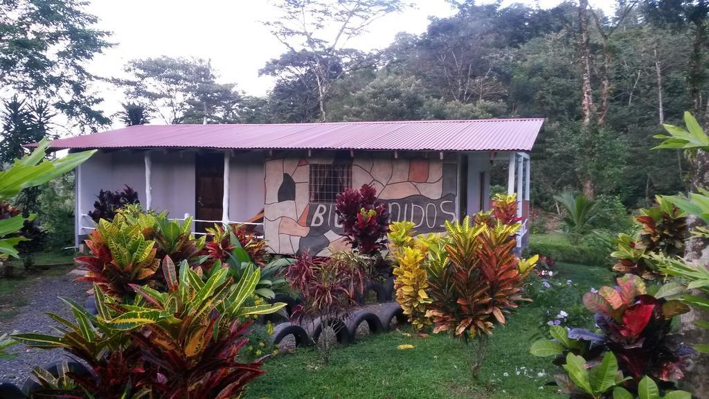 Nacientes Lodge Bijagua Exterior photo