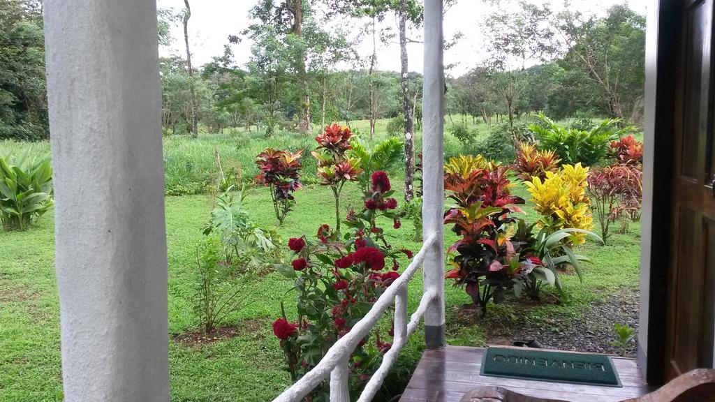 Nacientes Lodge Bijagua Exterior photo